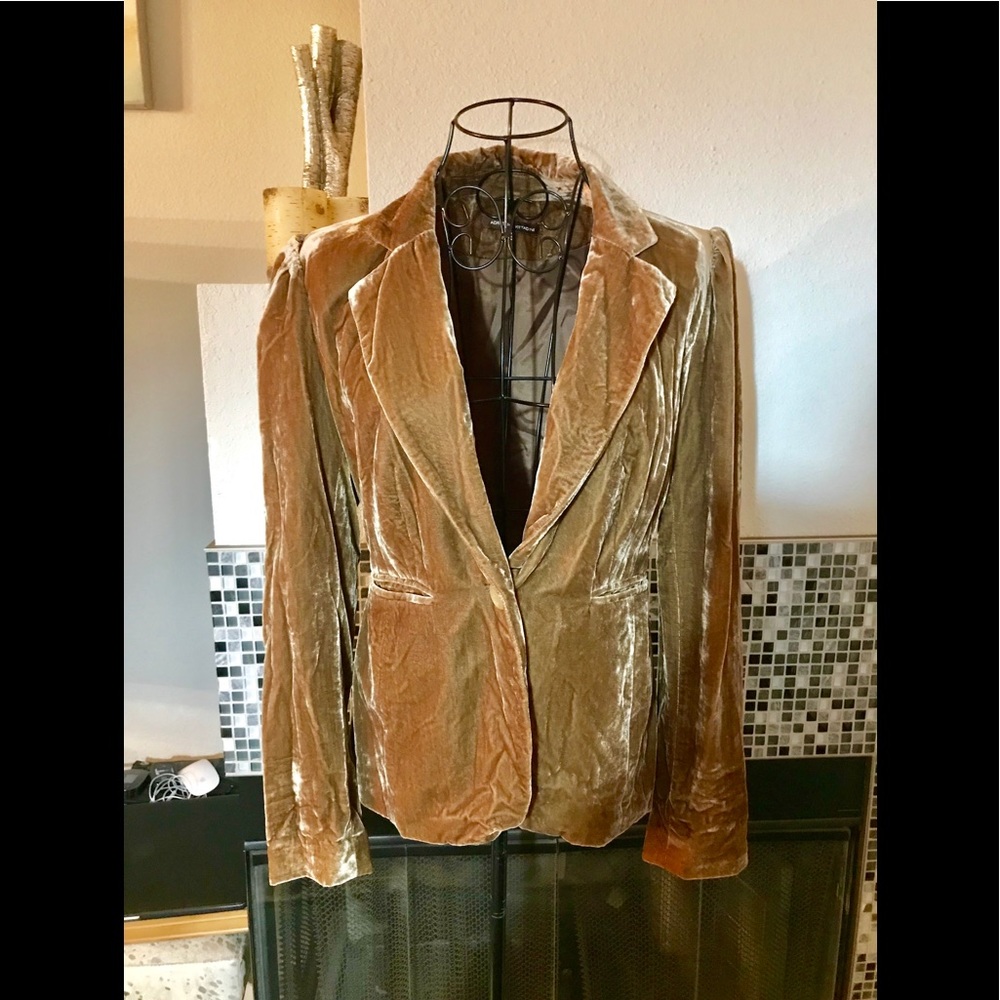 Adrienne Vittadini Brown Velvet Blazer